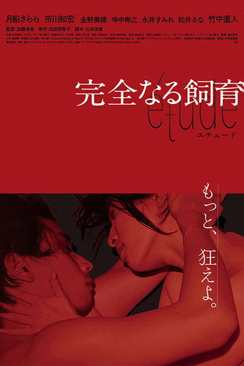 Perfect Education: étude movie poster