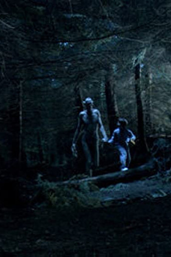 Ordan's Forest movie poster
