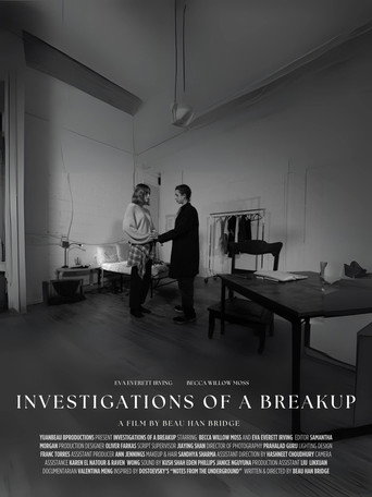 Investigations of a Breakup movie poster