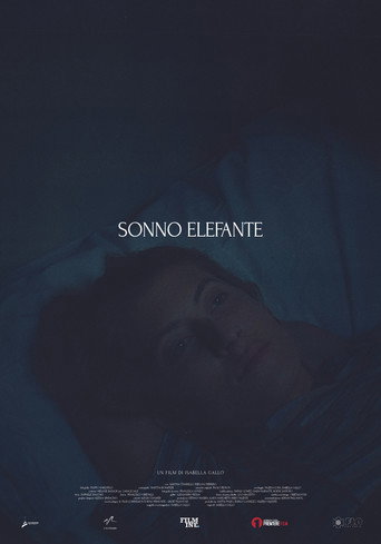 Sonno Elefante movie poster
