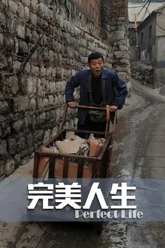 完美人生 movie poster
