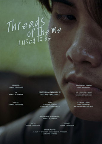 Threads of the me i used to be movie poster