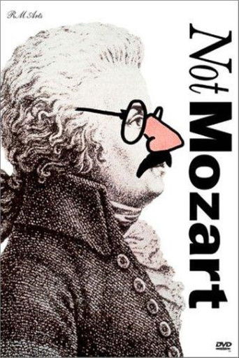 Not Mozart: Letters, Riddles and Writs movie poster