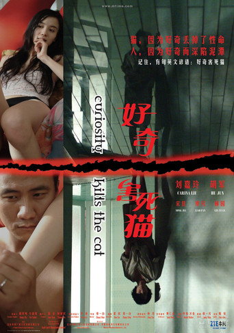 Curiosity Kills the Cat movie poster