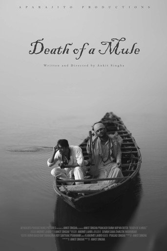 Death of a Mule movie poster