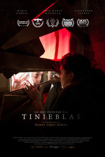 Lo Que Ocultan Las Tinieblas movie poster