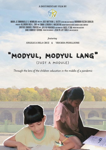 Just A Module movie poster