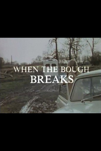 When the Bough Breaks movie poster