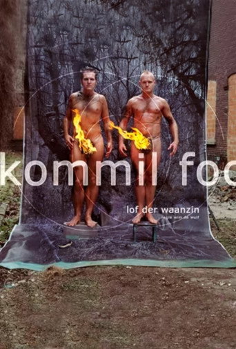 Kommil Foo: Lof der Waanzin movie poster