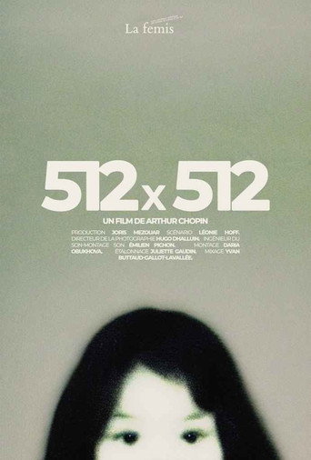 512X512 movie poster