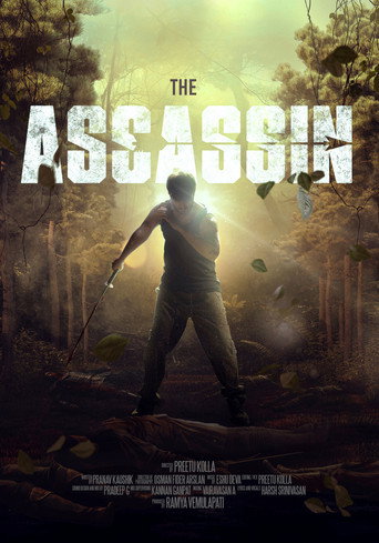 The Assassin movie poster