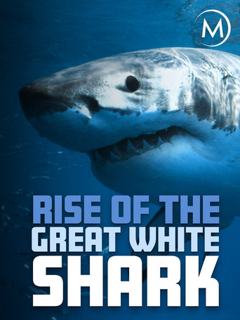 Rise Of The Great White Shark movie poster