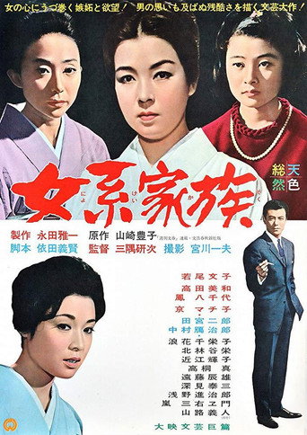 The Third Will movie poster