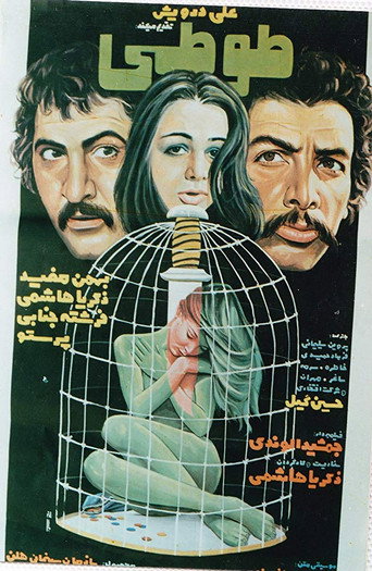 Parrot movie poster