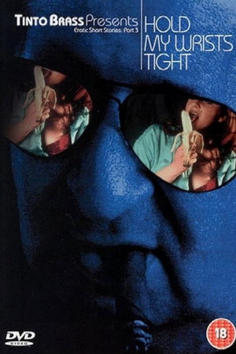 Tinto Brass Presents Erotic Short Stories: Part 3 - Hold My Wrists Tight movie poster