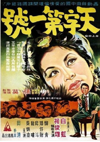 The Best Secret Agent movie poster