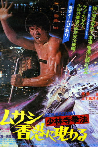 Karate from Shaolin Temple movie poster