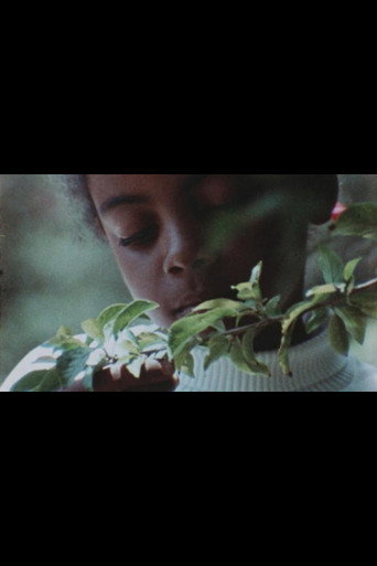 Celebration of Life: Trees movie poster