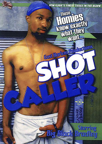 Shot Caller movie poster