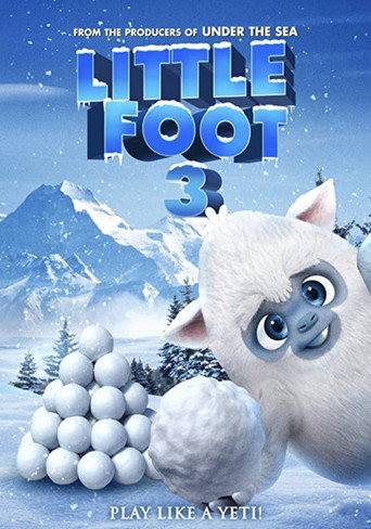 Little Foot 3 movie poster