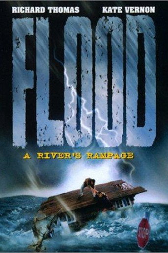 Flood: A River's Rampage movie poster