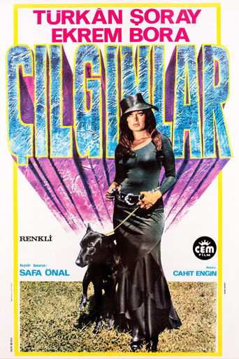 Crazy People movie poster