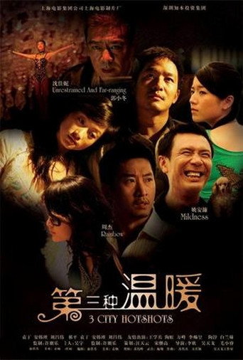 3 City Hotshots movie poster