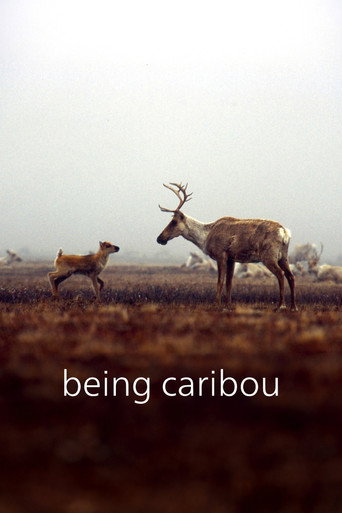 Being Caribou movie poster