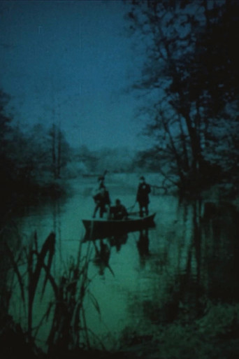 Videokaseta movie poster