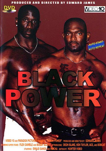Black Power movie poster