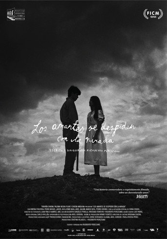 Lovers bid farewell with a glance movie poster