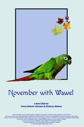 November with Wawel movie poster