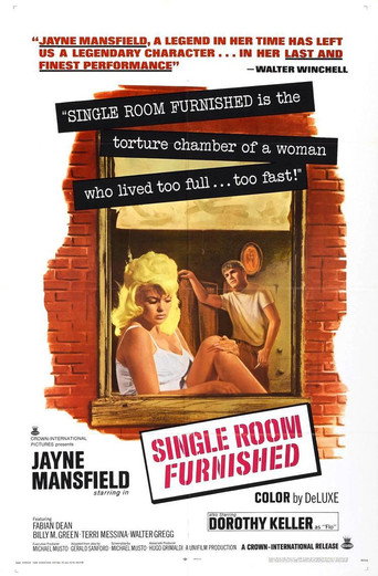Single Room Furnished movie poster