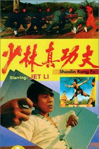 Shaolin Kung Fu movie poster