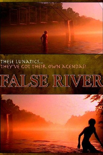 False River movie poster
