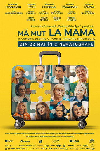 I'm Moving in with Mom movie poster