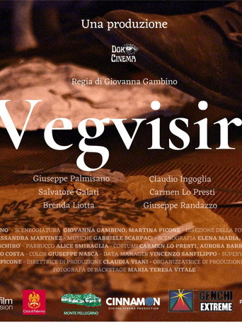 Vegvisir movie poster