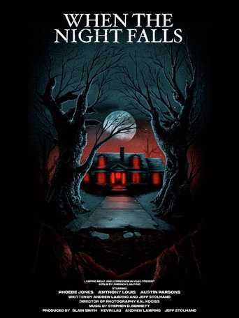When the Night Falls movie poster