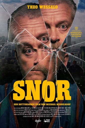 Moustache movie poster