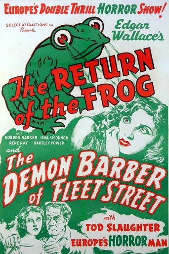 The Return of the Frog movie poster