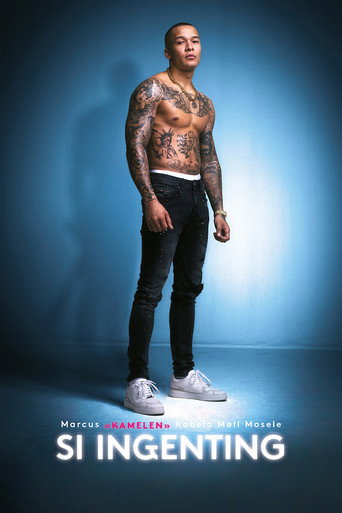 Si ingenting movie poster