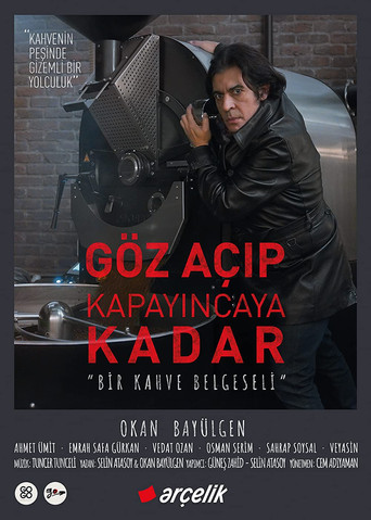 “In the Blink of an Eye” A Coffee Documentary movie poster