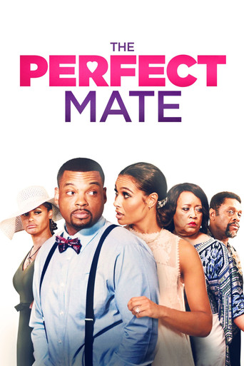 The Perfect Mate movie poster