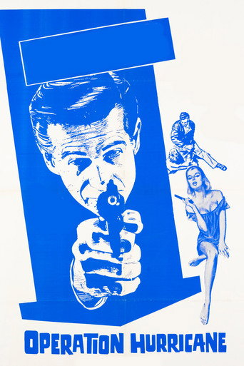 The Violin Case Murders movie poster