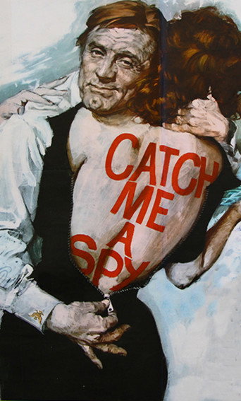Catch Me a Spy movie poster