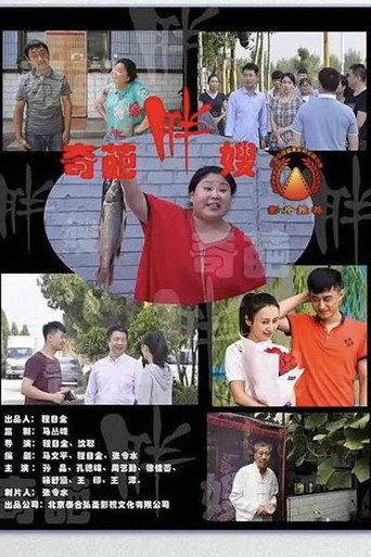 奇葩胖嫂 movie poster