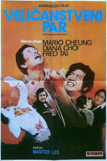 The Magnificent Duo movie poster