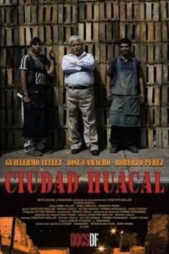 Huacal City movie poster