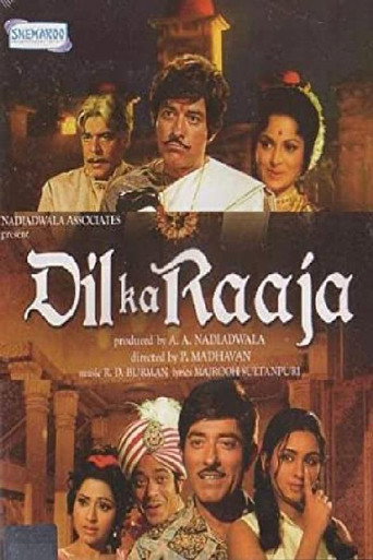 Dil Ka Raaja movie poster