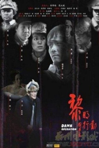 Dawn Operation movie poster